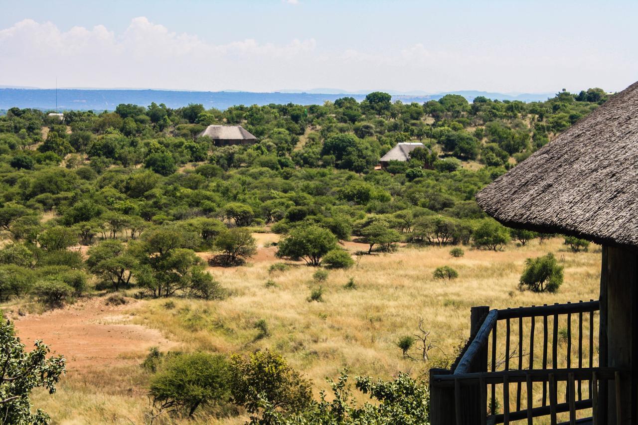 Monateng Safari Lodge Wallmannstal Esterno foto